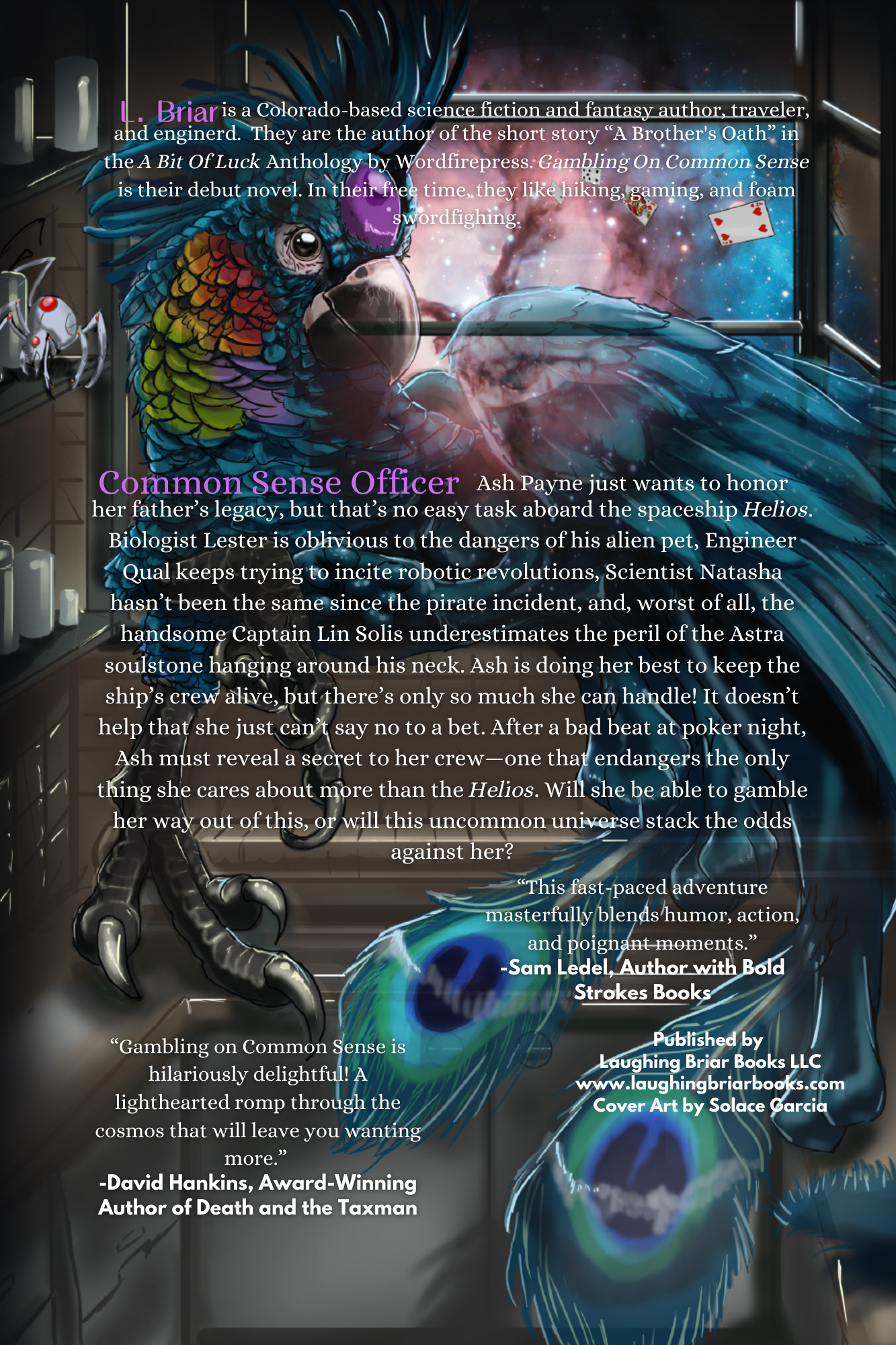 Gambling on Common Sense: Rationality, Romance, & The Space Between - Novel eBook